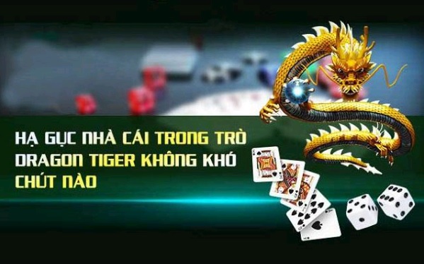 rồng hổ 92lottery